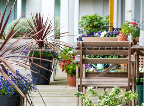 New River Village - garden terrace