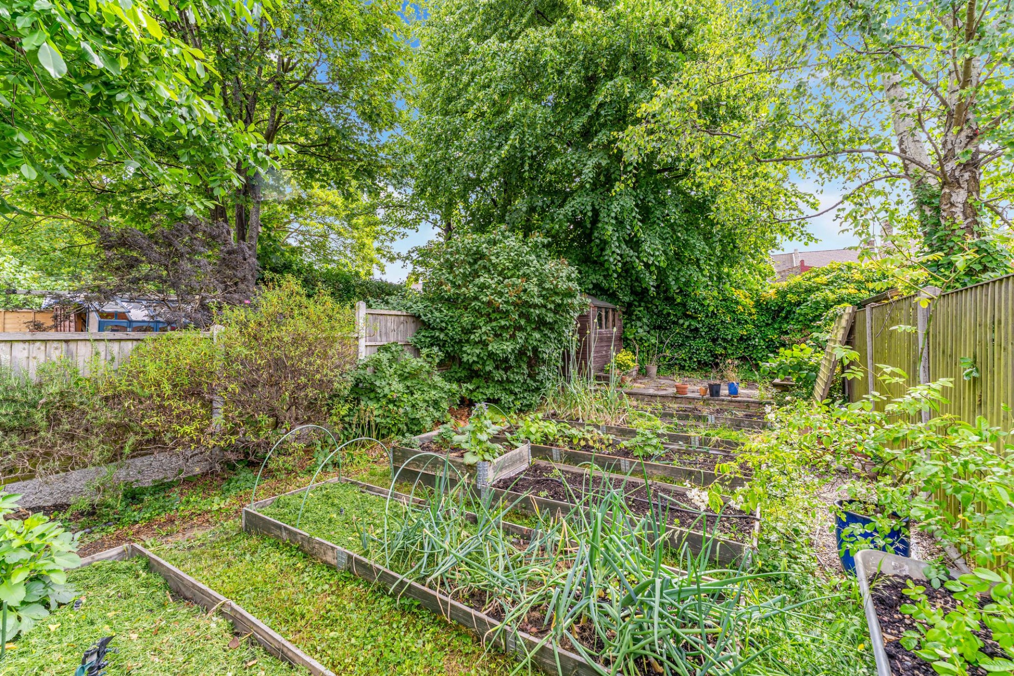 Images for Park Ridings, Hornsey, N8 EAID:1132008958 BID:8c4454de-783b-4cd1-a3cf-c2e1efcf5c25