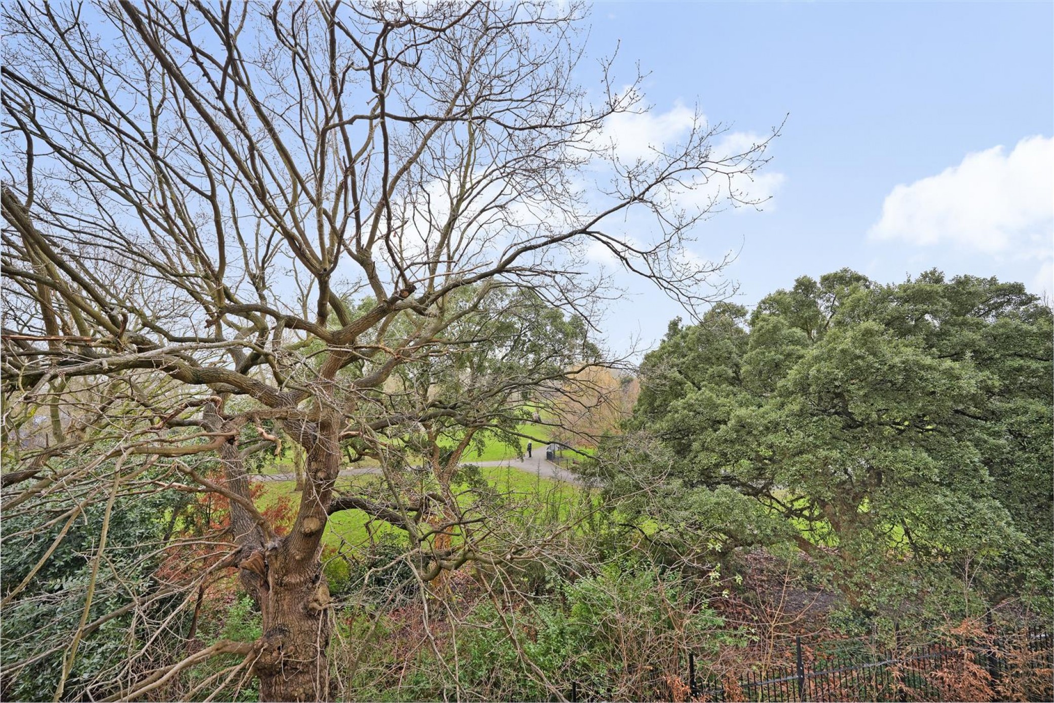 Images for Apple Tree Road, Tottenham, N17 EAID:philipalexanderapi BID:1
