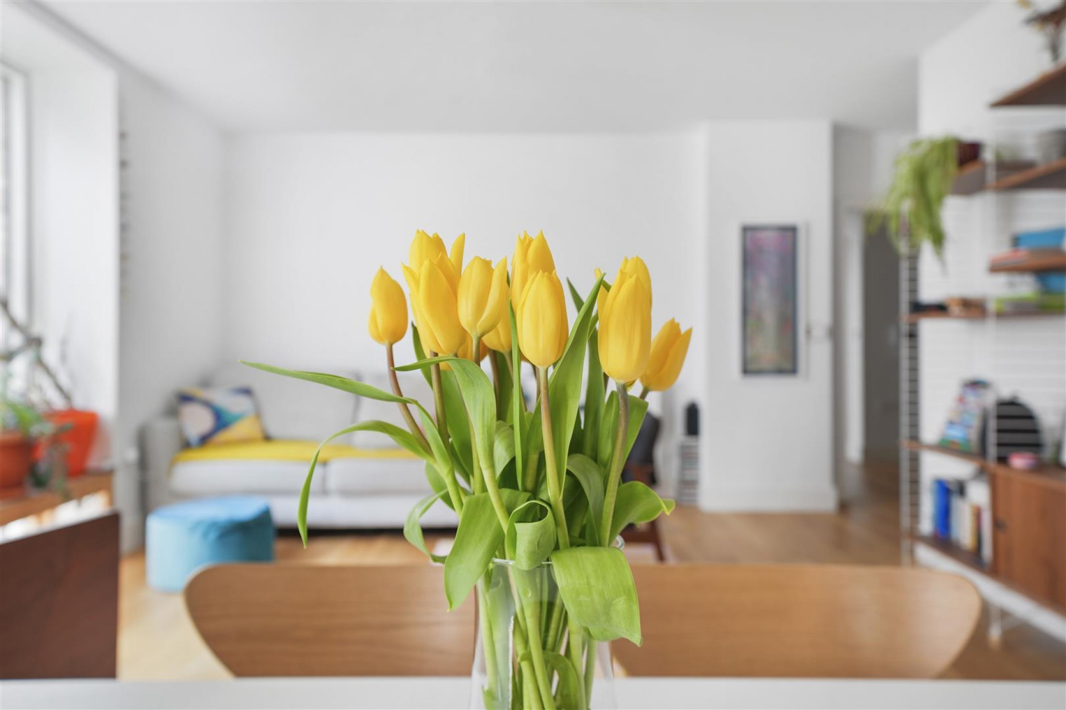 Images for Casbeard Street, Finsbury Park, N4 EAID:philipalexanderapi BID:1